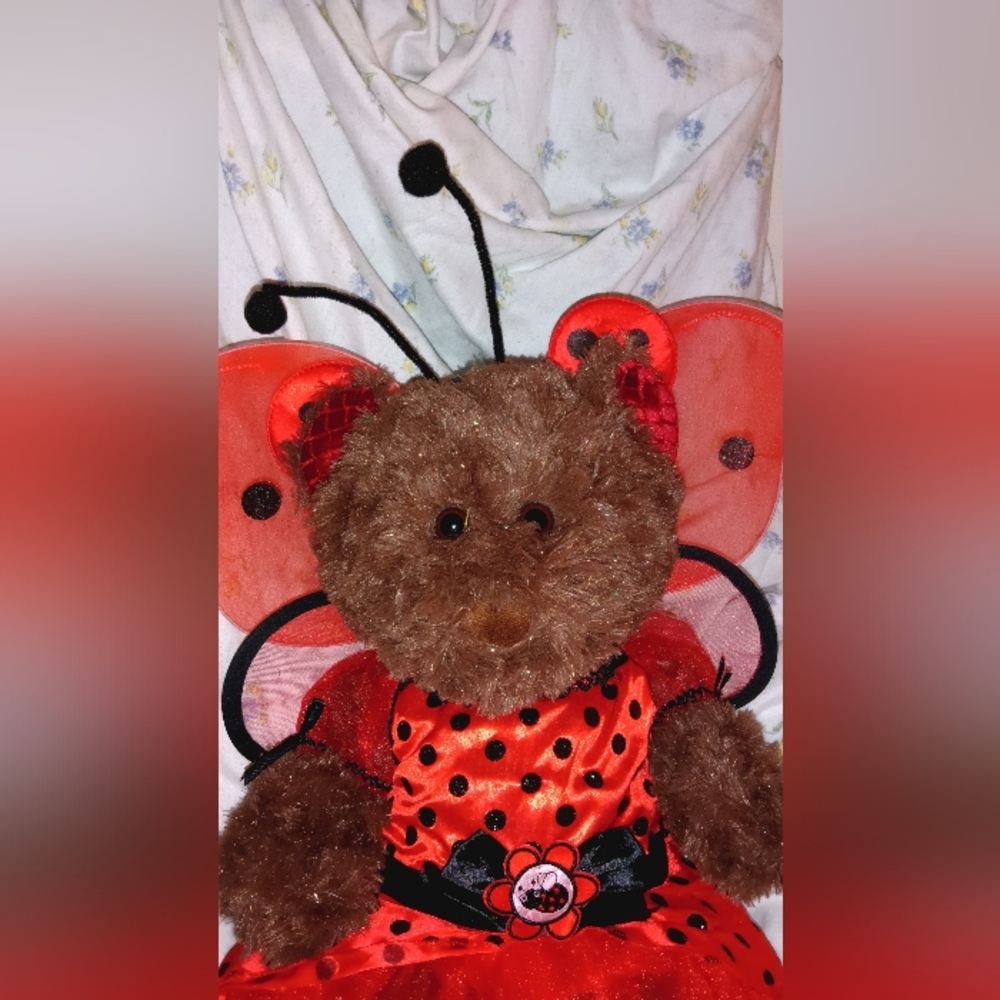 Fancy Ladybug - Picture 4 of 9
